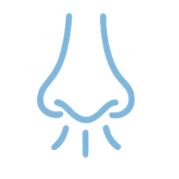 알레르기비염 아이콘