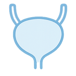 만성방광염 아이콘