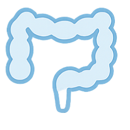 과민성대장염 아이콘