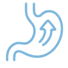 역류성식도염 아이콘