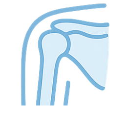회전근개파열 아이콘