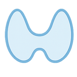 갑상선질환 아이콘